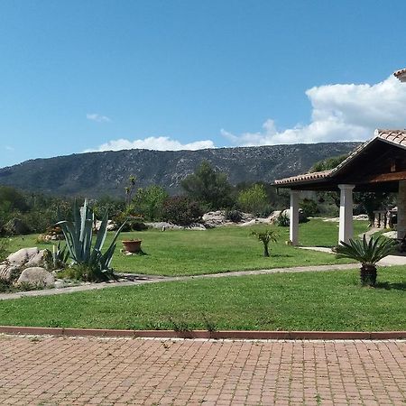 Settimo Cielo Bed & Breakfast San Teodoro  Exterior photo