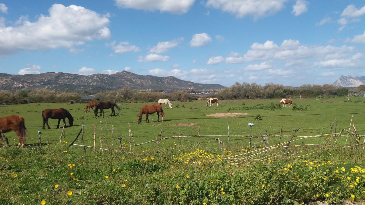 Settimo Cielo Bed & Breakfast San Teodoro  Exterior photo